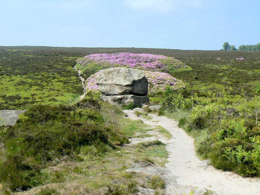 Stanton Moor Stanton Moor